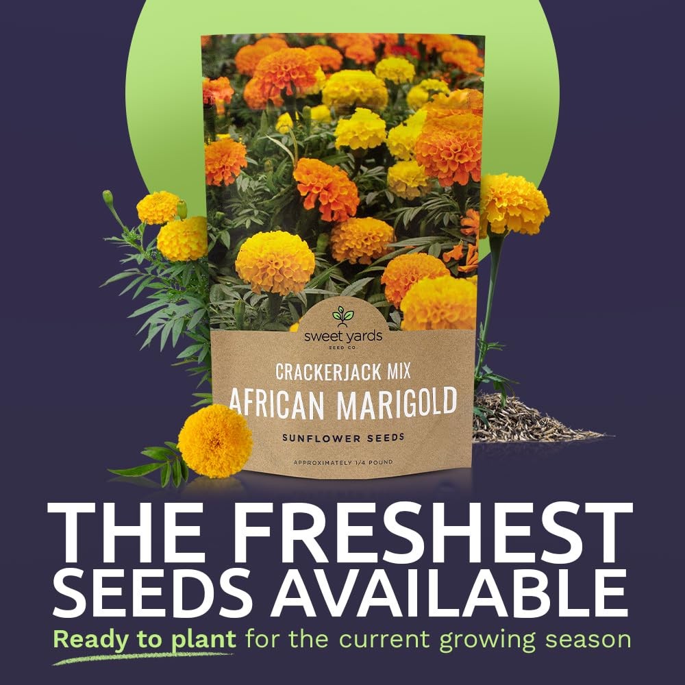 African Marigold Seeds Crackerjack Mix 4 Ounce (Pack of 1), Yellow and Orange