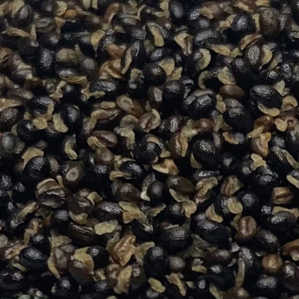 Celandine Seeds (Chelidonium majus) ~Traditional Herb Native Pollinator Garden