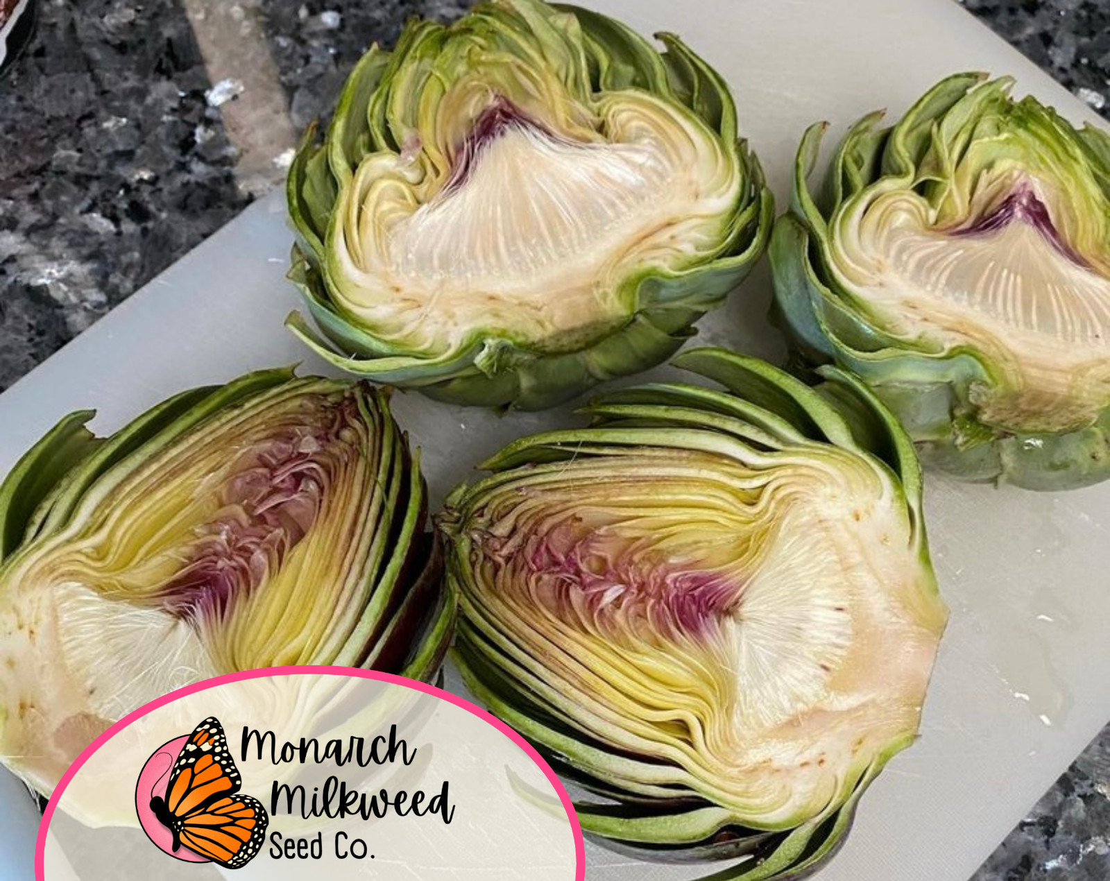 80+ Artichoke Seeds ‘Green Globe’ | Heirloom, Non-GMO, Vegetable Gardening, USA