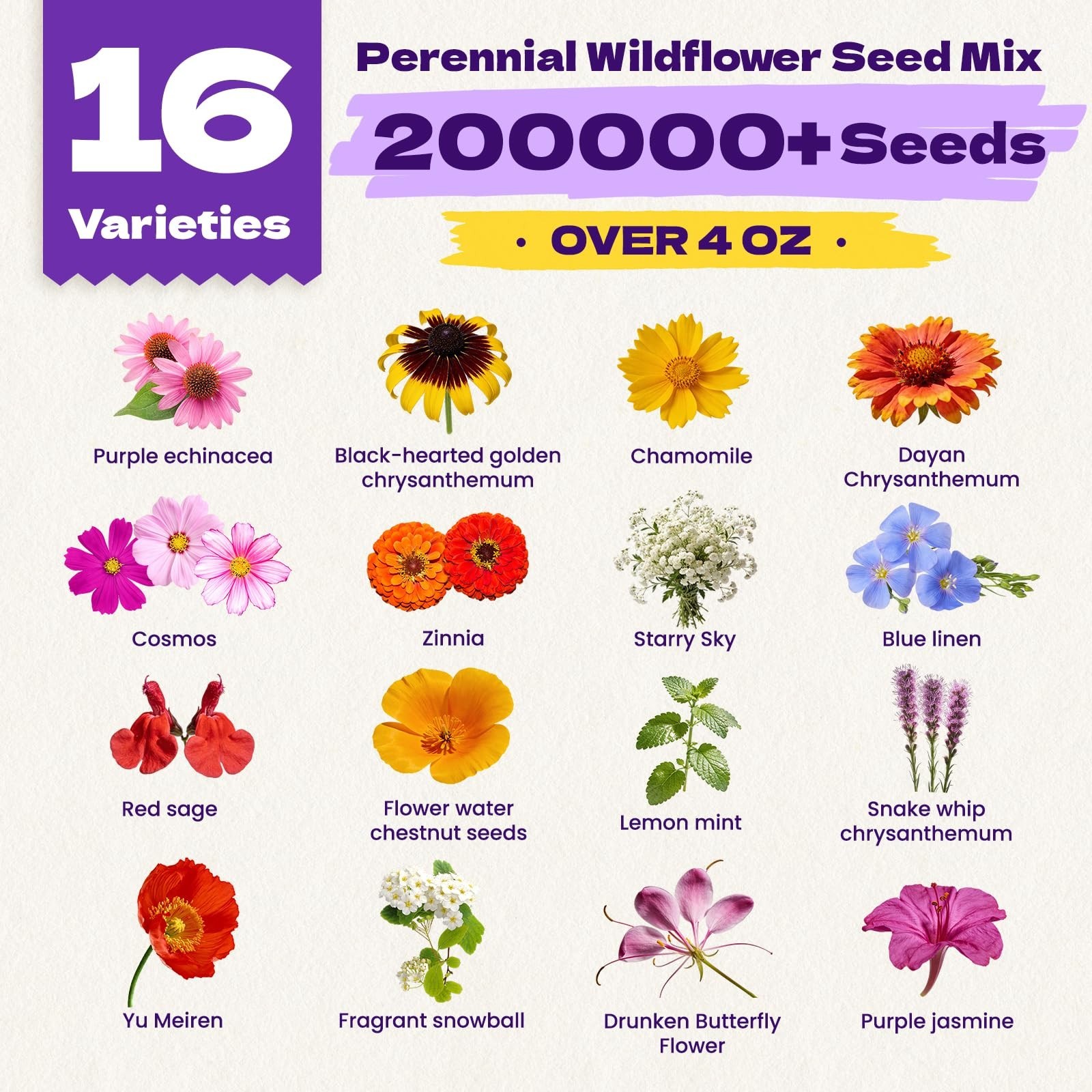 200,000+ Wildflower Seeds Bulk (4oz) – 16 Varieties, Attract Bees & Butterflies,