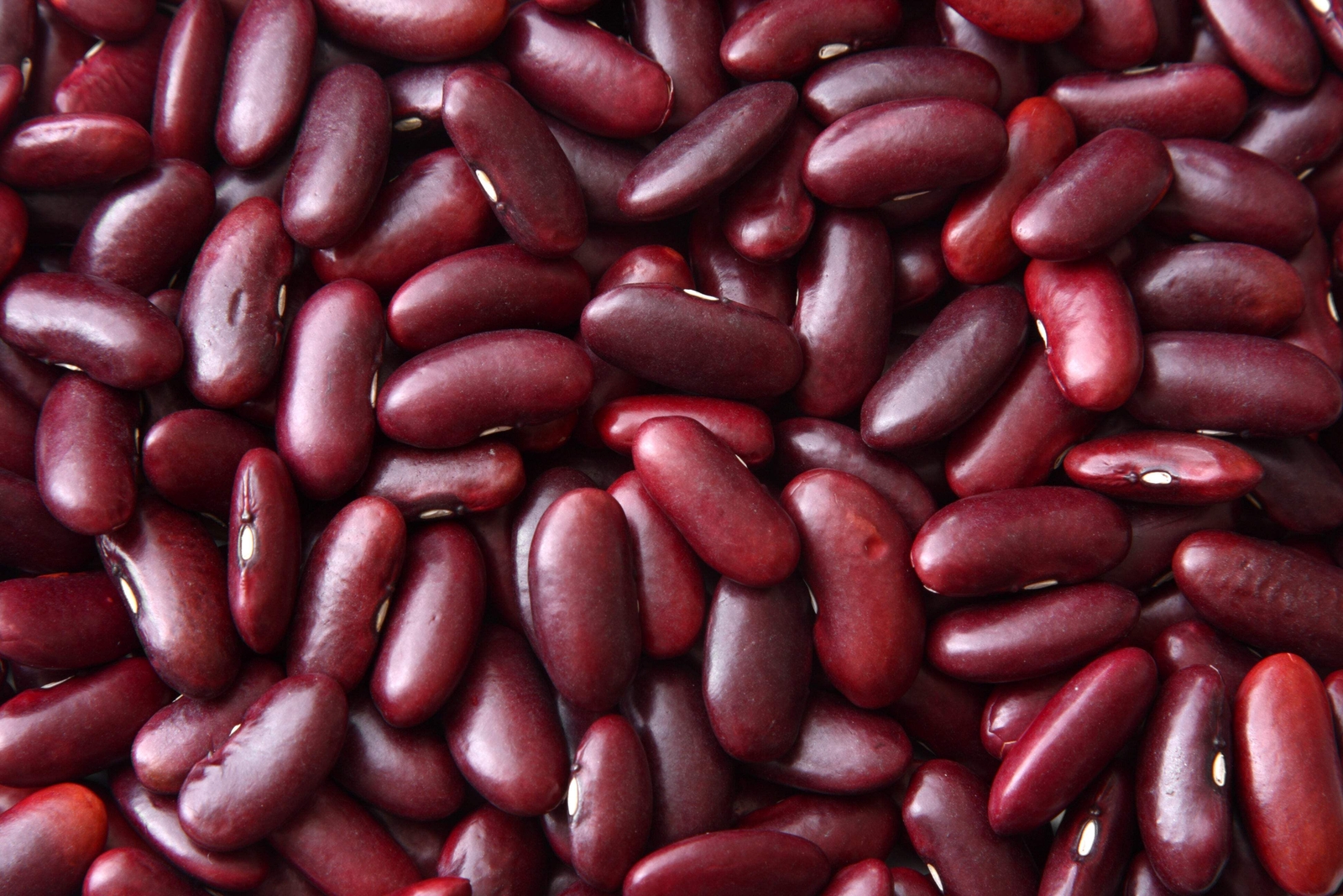 50 Charlevois DARK RED KIDNEY BEAN Chili Baked Phaseolus Vulgaris Vegetable Seed
