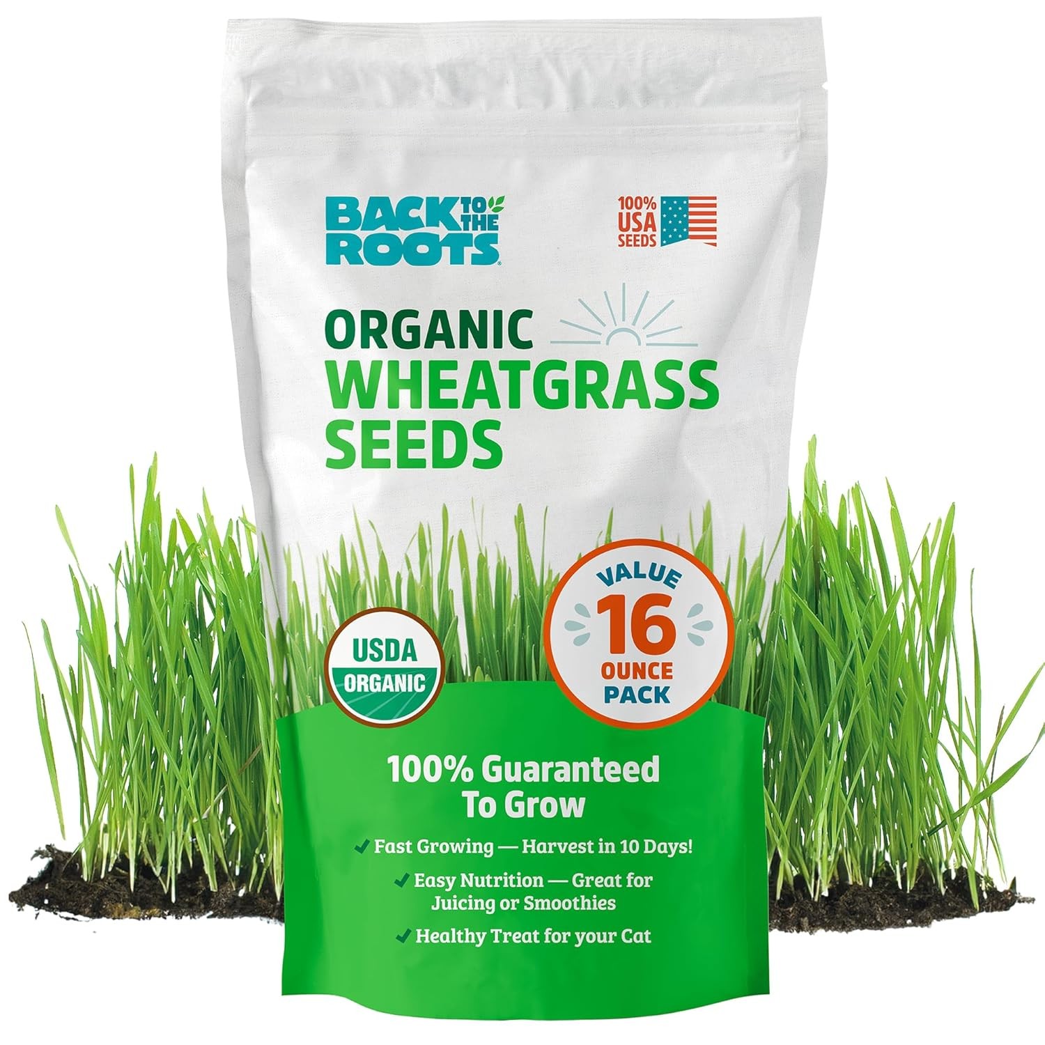 100% Organic Wheatgrass Seeds 1 Pound Non-GMO Non GMO Wheatgrass Seeds for Sale