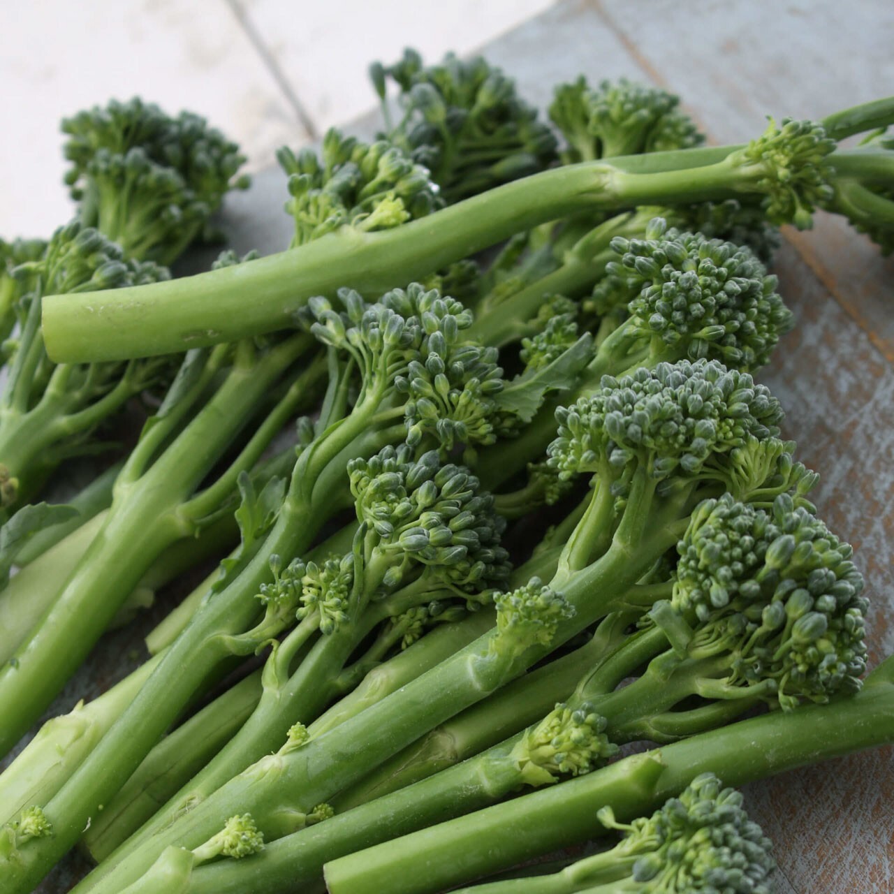 Green Calabrese Broccoli ORGANIC NON-GMO open pollinated garden planting!