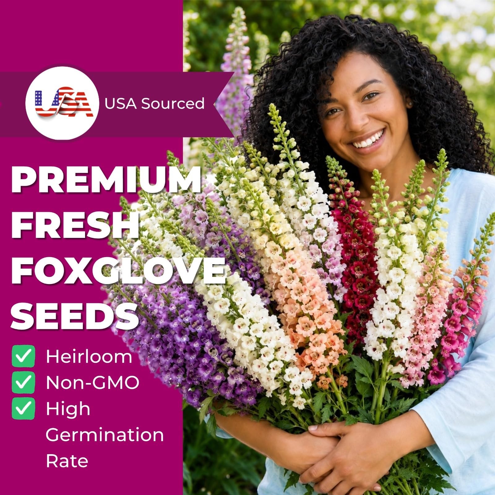 350,000+ Common Foxglove Seeds for Planting Digitalis Purpurea Seeds, Tall O…