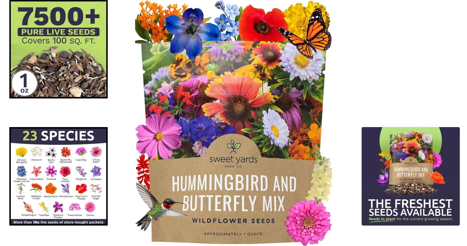 1 Ounce Wildflower Seed Packet with 7500+ Seeds – Garden Wildlife Haven