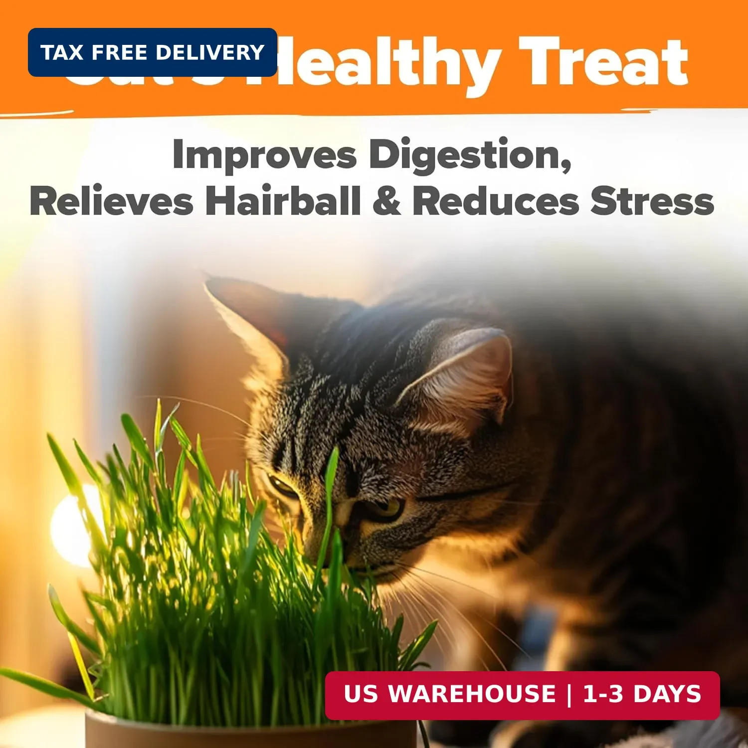 Home Grown 3200+ Indoor Cat Grass Refill – Non-GMO USA Grown Catnip, Oat & Alfal