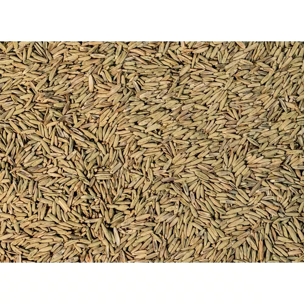 3 Lbs. Perennial Ryegrass Lawn Seed