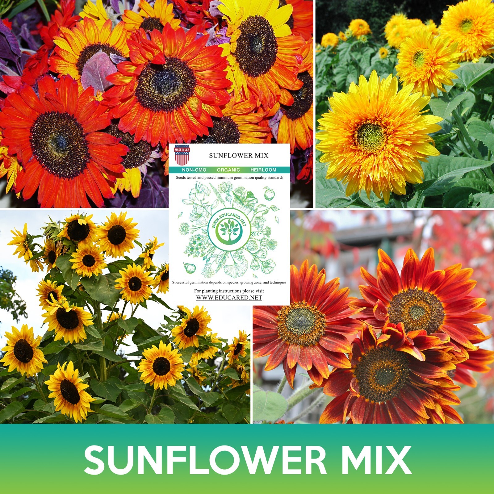 Sunflower Mix Seeds