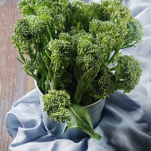 2000 Broccoli Seeds Waltham 29 Seeds Non-GMO Heirloom | USA Seller