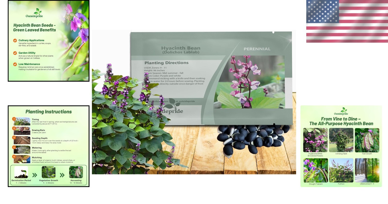 Vibrant Green Lablab Vine Seeds – Fast-Growing, 100 Pcs for Culinary Gardens