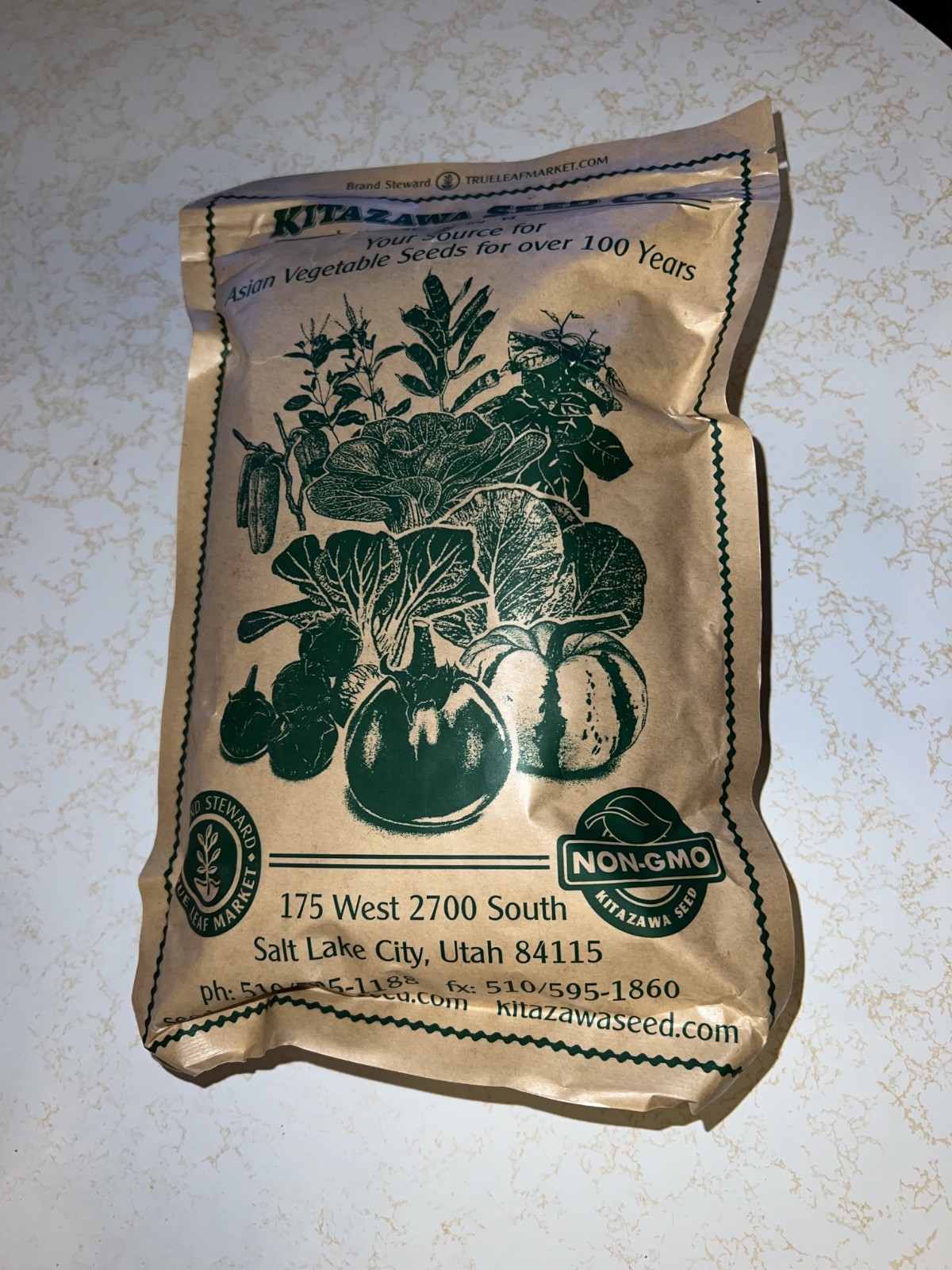 Onion – Bunching – Evergreen (Organic) – Microgreens Seeds ilb packet ~By KITAZA
