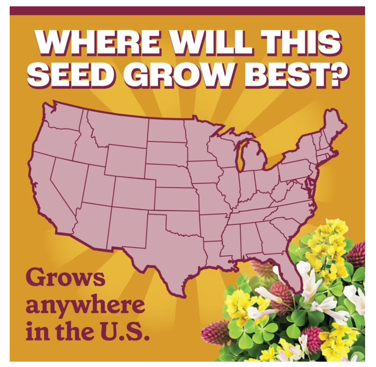 Pennington Cover Crop 2lb Grass Seed Mix for Stronger Garden Soil