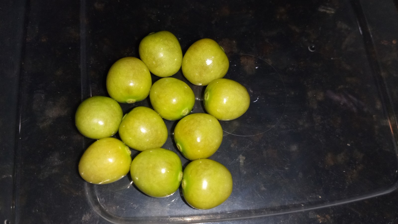 25 Rare Ground Cherry (Physalis pruinosa) Seeds.US Grown Seeds .Dwarf Plants.