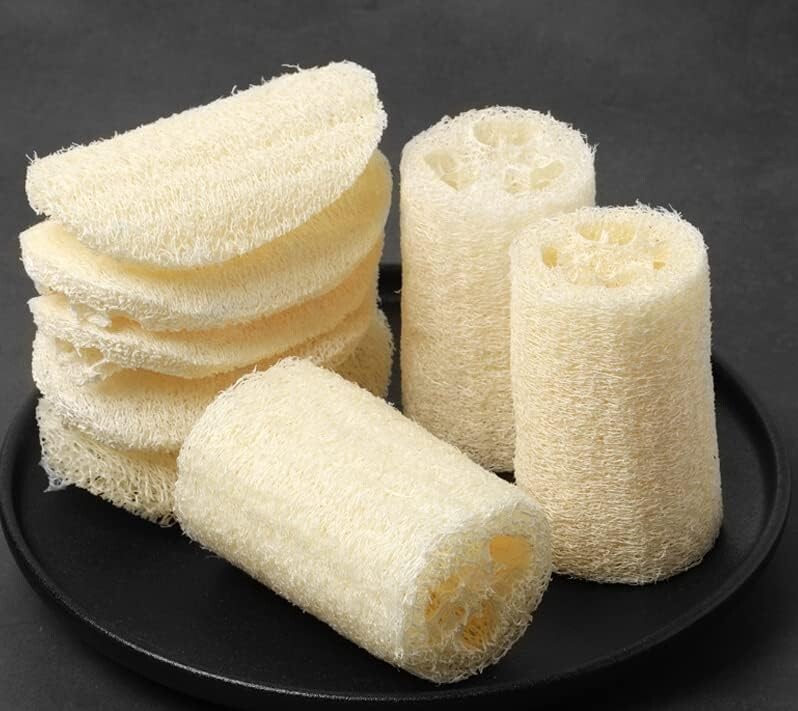 10+ Sponge dishcloth Gourd Seeds Luffa Gourd Smooth Loofah Chinese Sigua USA