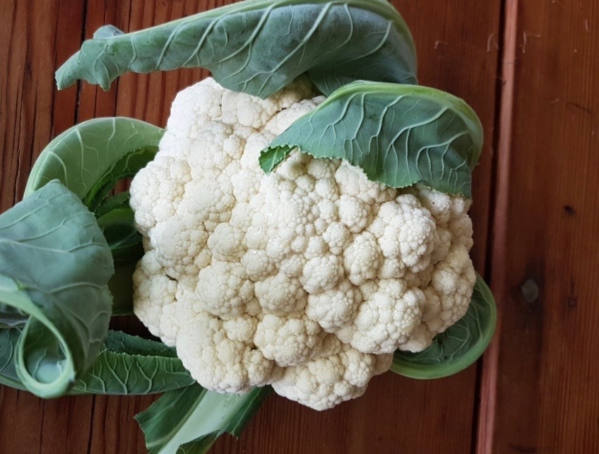 50+ Fresh Cauliflower Seeds, Snowball Heirloom, Organic Non-GMO, USA Seller 🇺🇸
