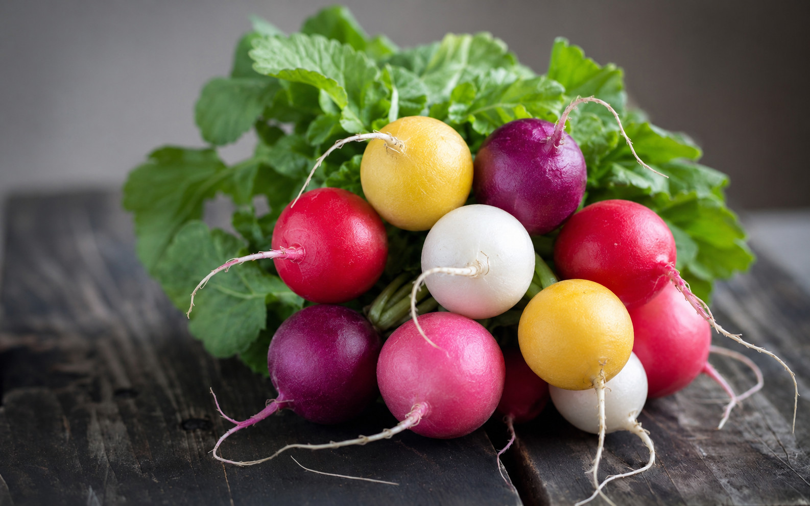 600 Organic Heirloom Rainbow Radish Seed Mix – 5 Color 25-30 Day Harvest NonGMO
