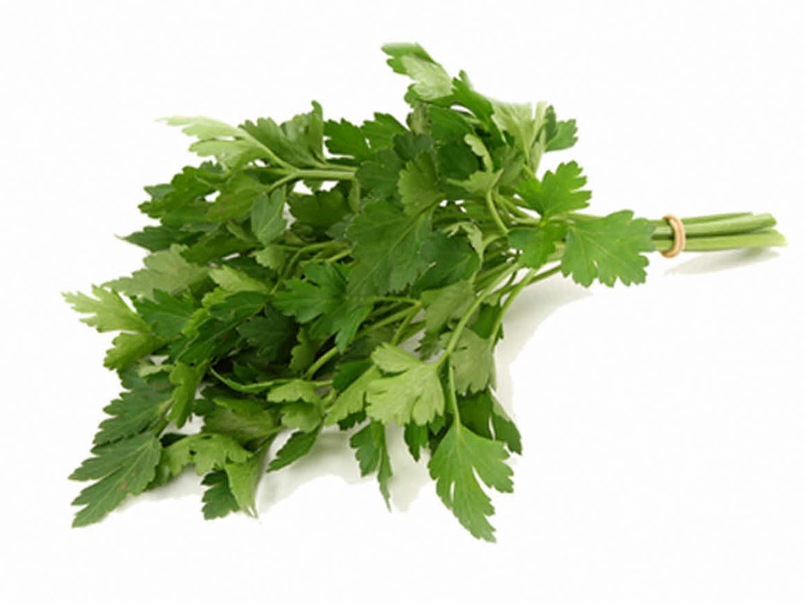 1/4 oz Parsley Seed, Italian Flat Leaf, Heirloom Herb, Non-GMO Bulk Herb, 3500ct