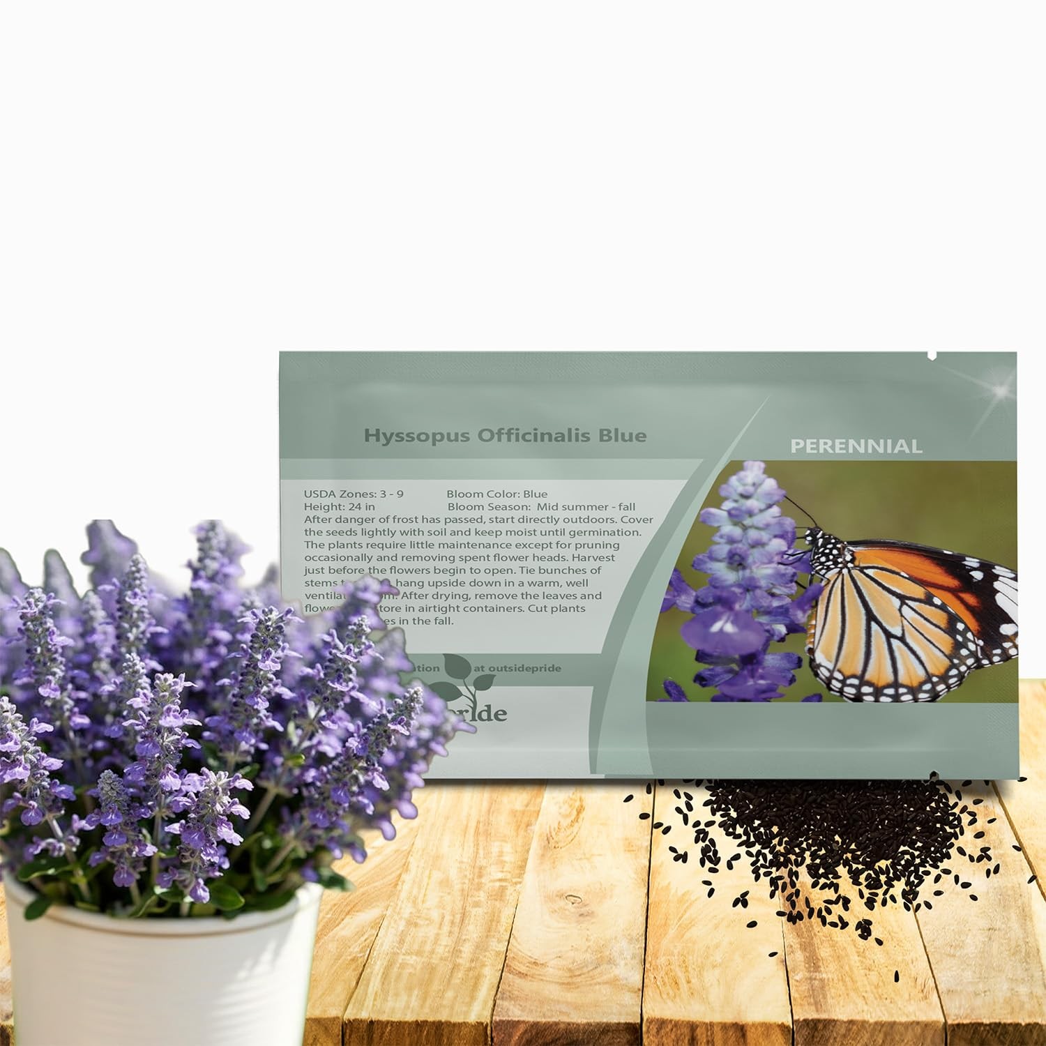 1000 PCS Blue Hyssop Seeds Planting Perennial Herb Garden Fragrant Blooms