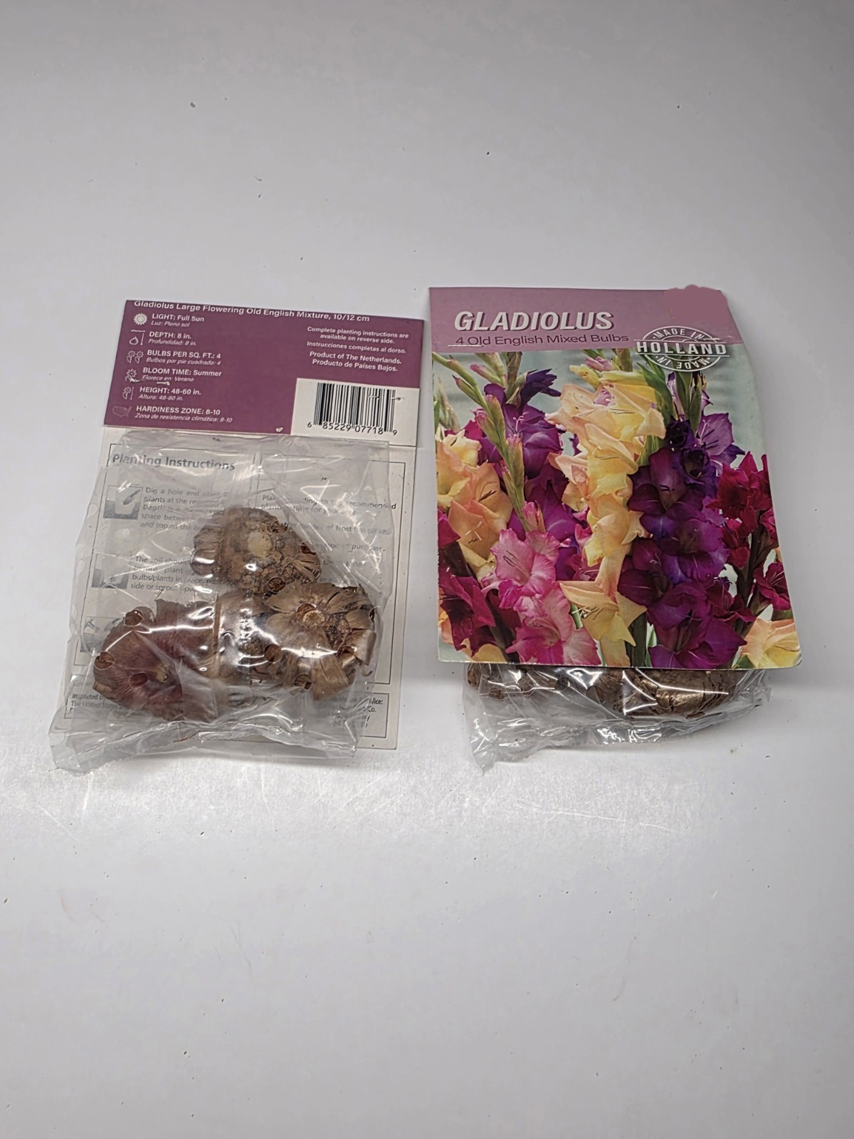 Lot Of 2 Packs of Holland Old English Mixed Gladiolus Bulbs (4 bulbs each)