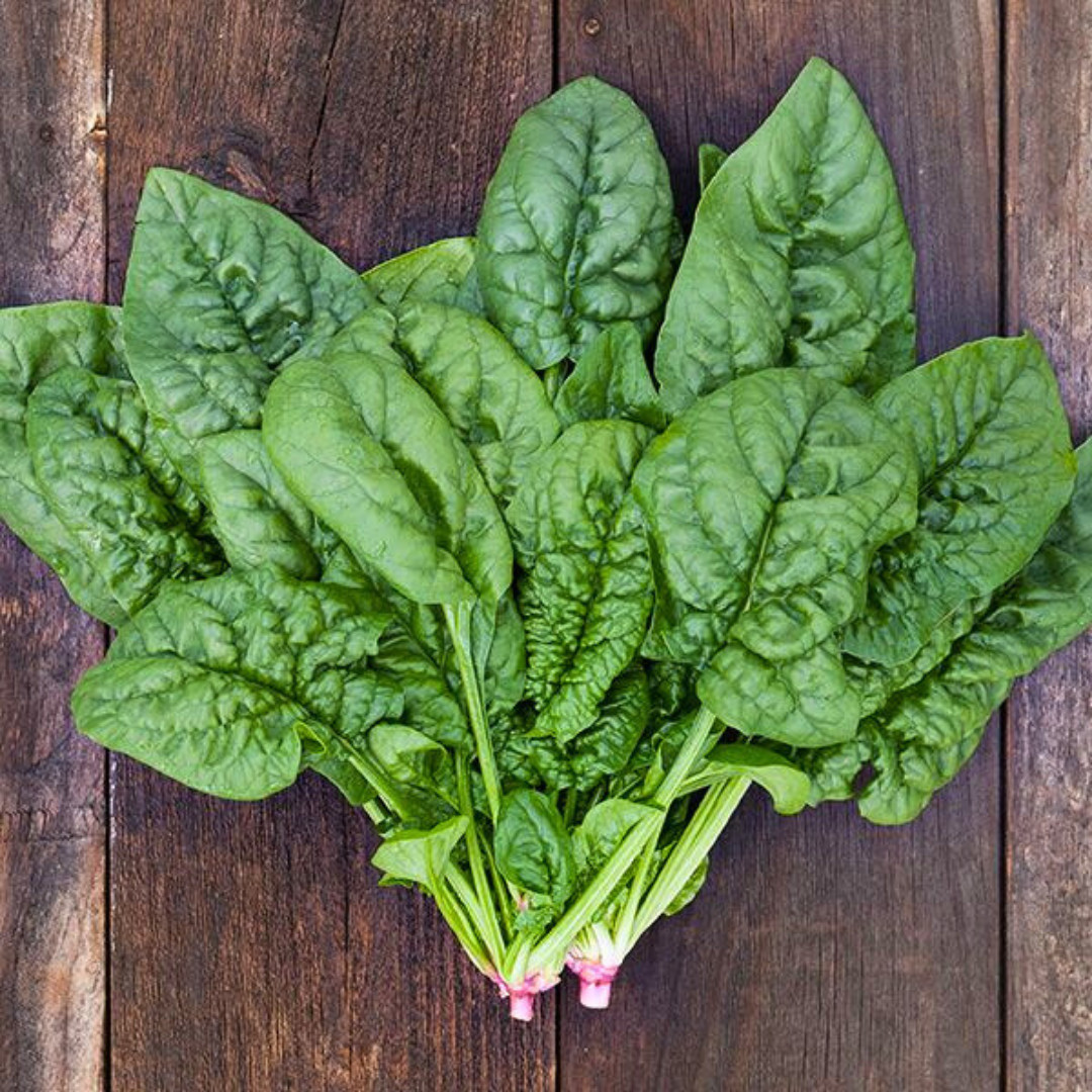 Fresh Premium Bloomsdale Spinach Seeds | Heirloom Non-GMO | Vegetable Seeds