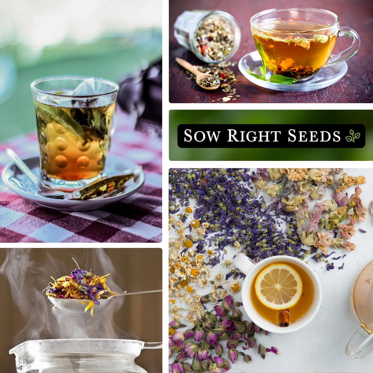 Sow Right Seeds – Large Herbal Tea Garden Seed Collection for Planting – Lemon B