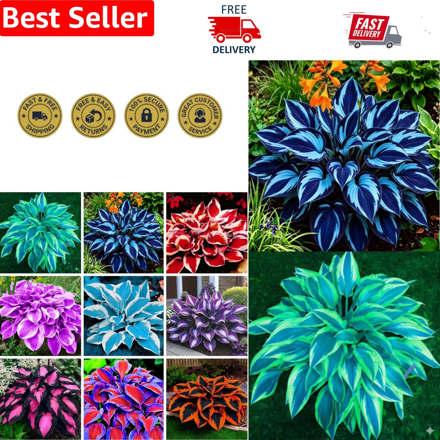 390+ GMO-Free Hosta Seeds – Easy Care Heart-Shaped Plants for Outdoor Gardening
