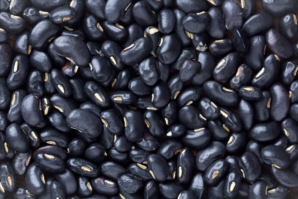 Black Bean Seeds for Planting – 30 Seeds – Easy to Grow, Very Healthy