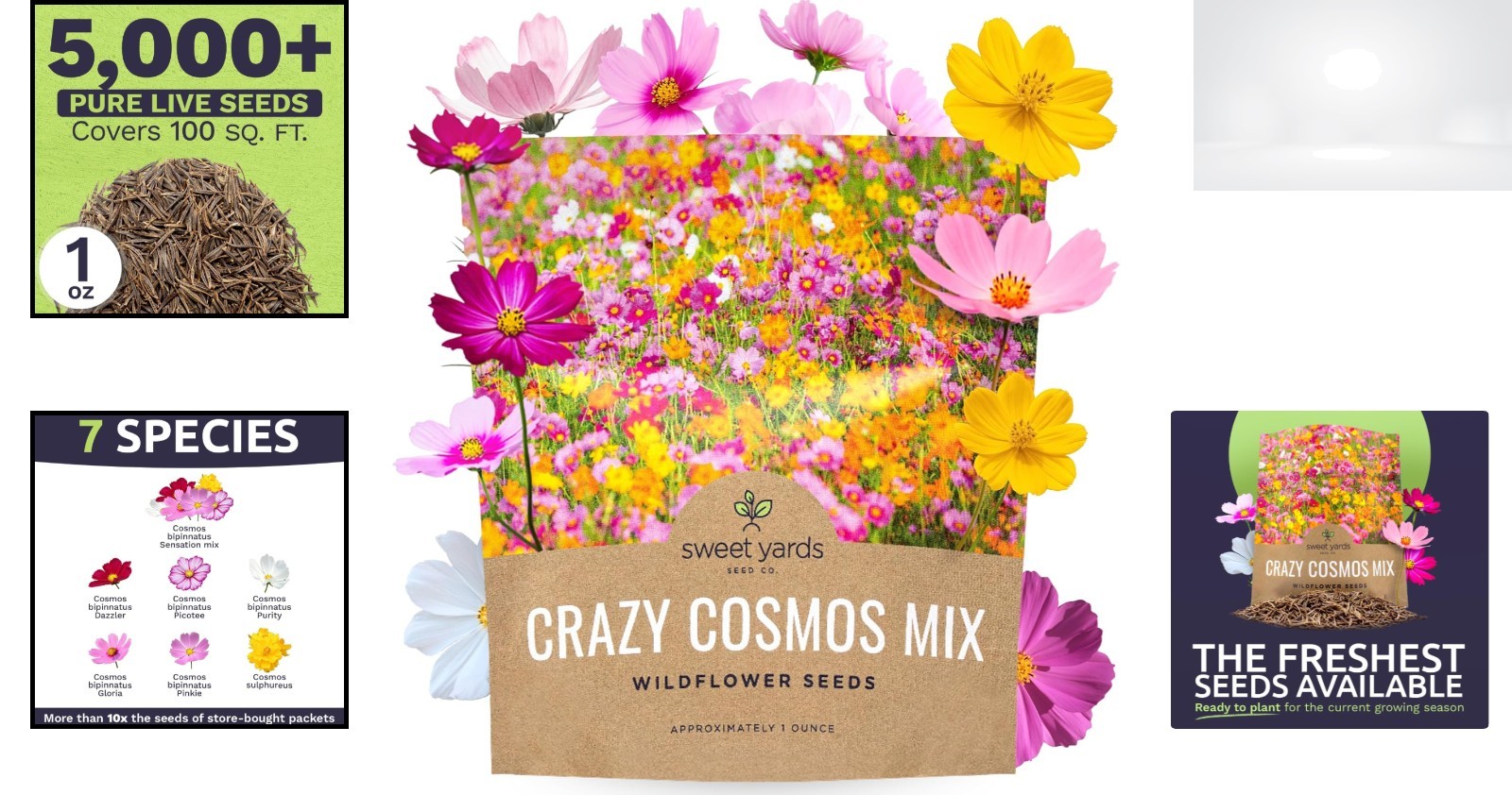 Cosmos Seeds Wildflower Blend 1oz Bulk Packet 5000+ Seeds Spring Summer Planting