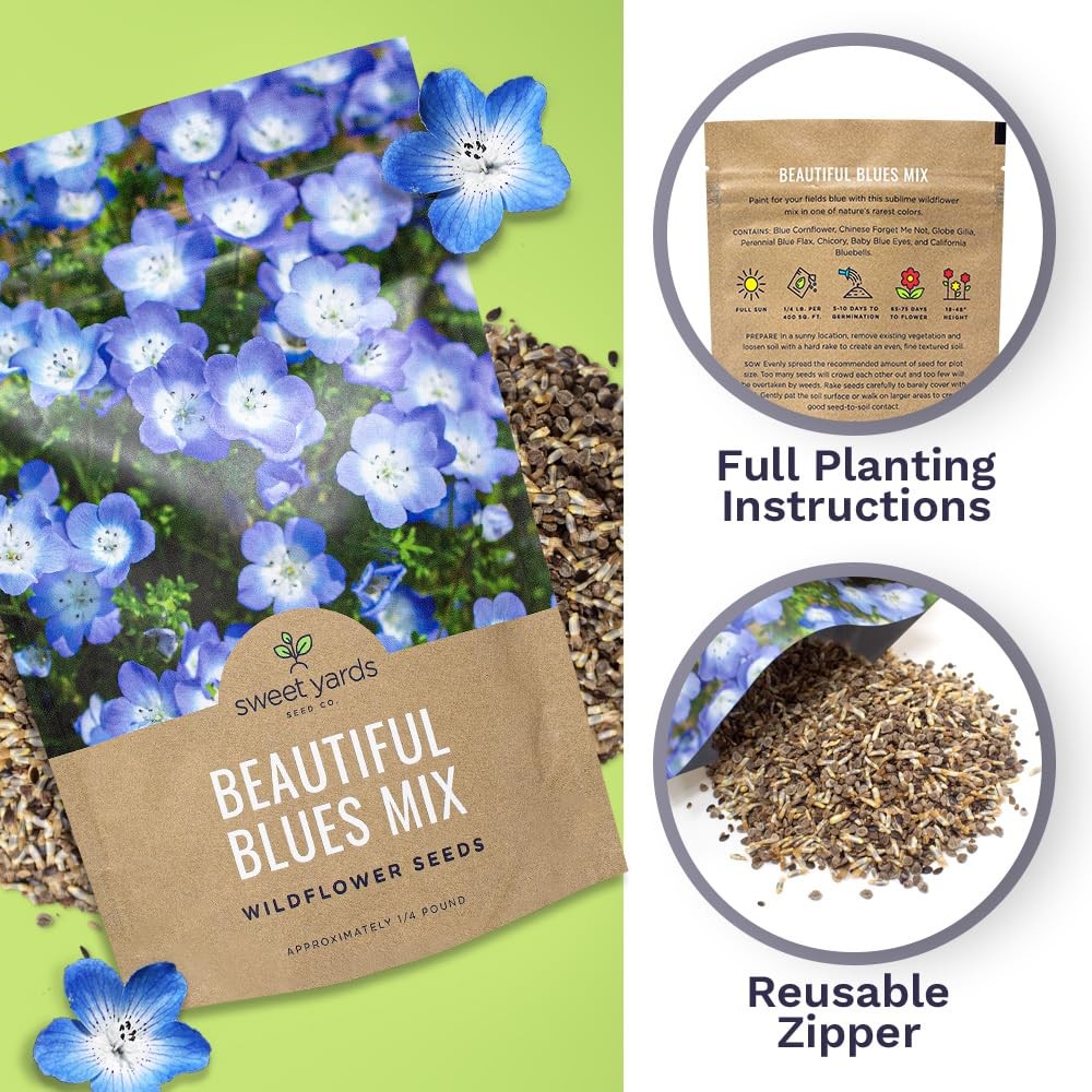 All Blues Wildflower Seeds – Bulk 1/4 Pound Bag – Over 30000 PureAnnual and P…