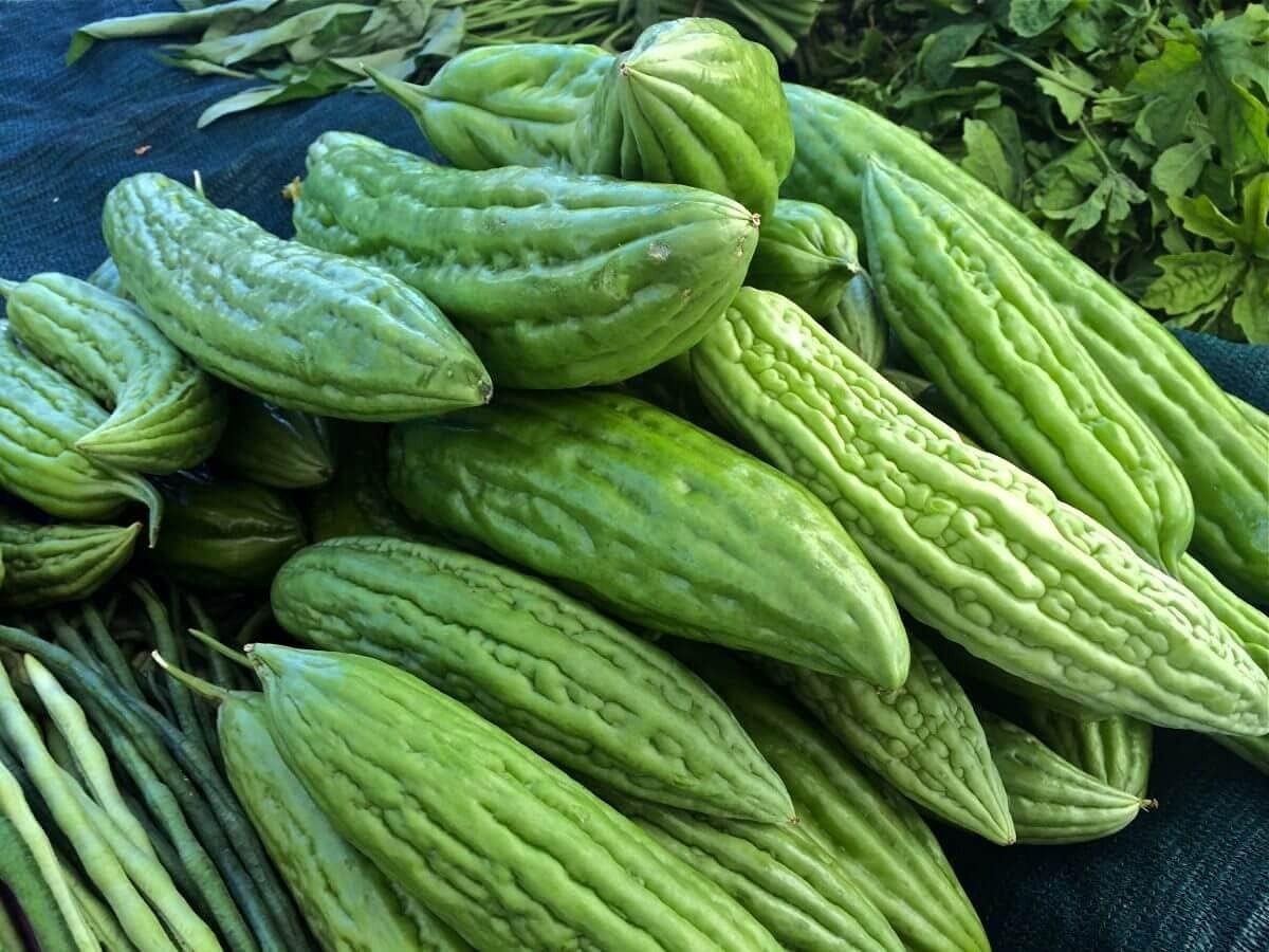 Grow Delicious Bitter Melon – Non-GMO Seeds with 92% Germination Rate, Pack of 1