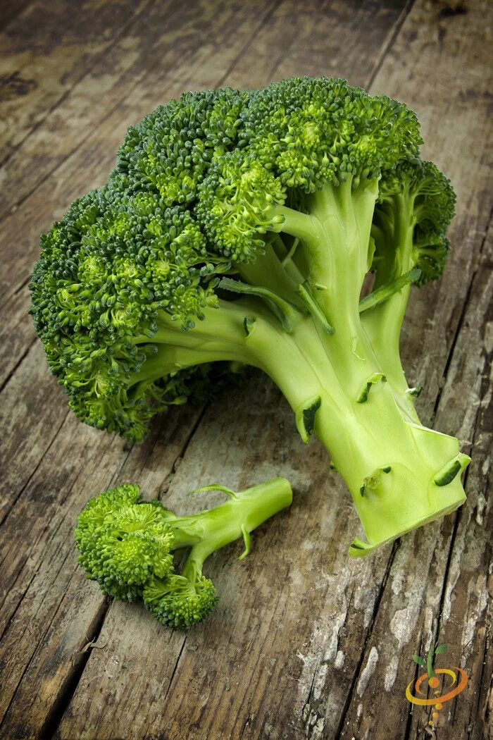 Organic Di Cicco Broccoli NON-GMO open pollinated garden Italian Heirloom YUM!