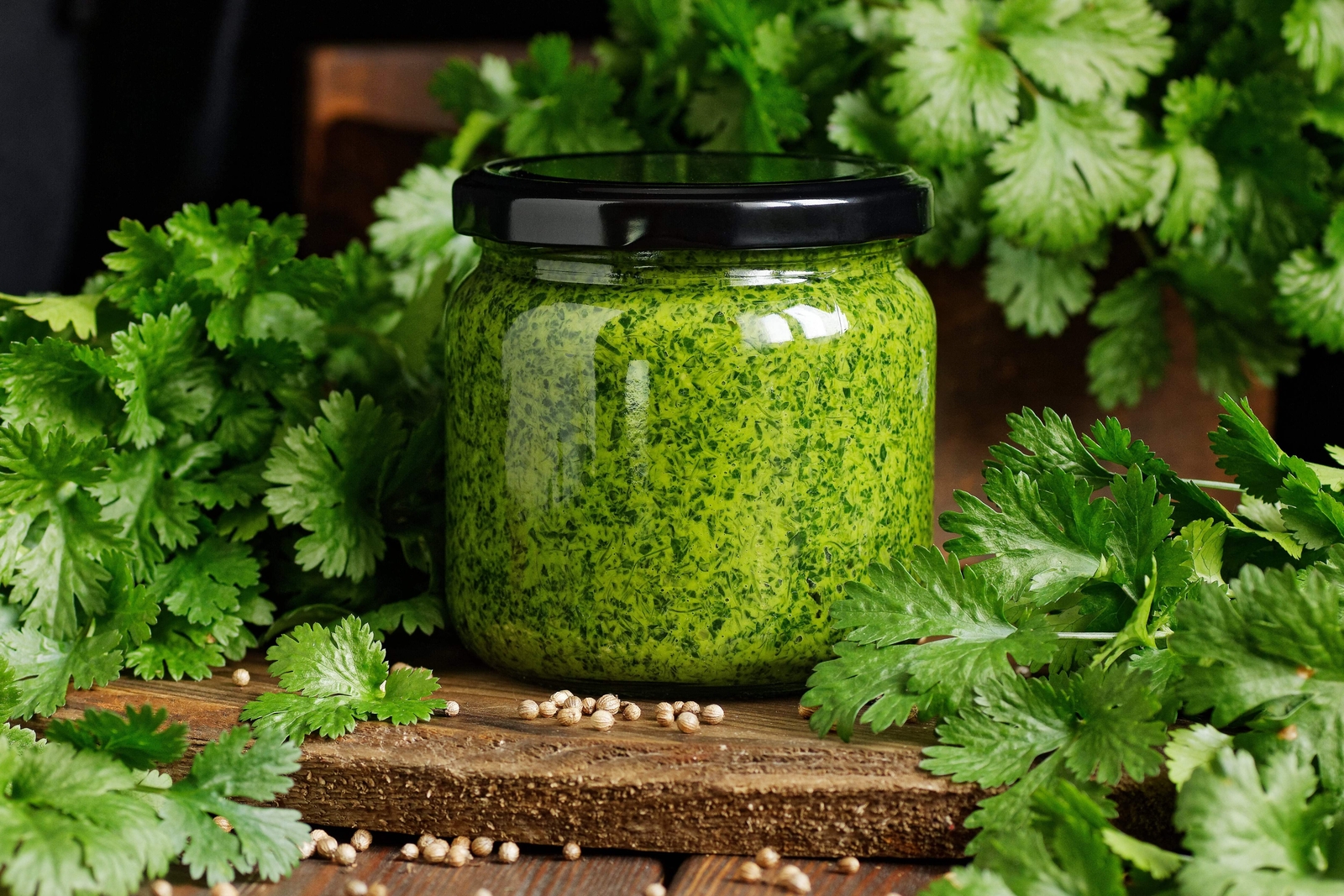 250 LEISURE CILANTRO / CORIANDER Coriandrum Sativum Herb Vegetable Seeds *CombSH