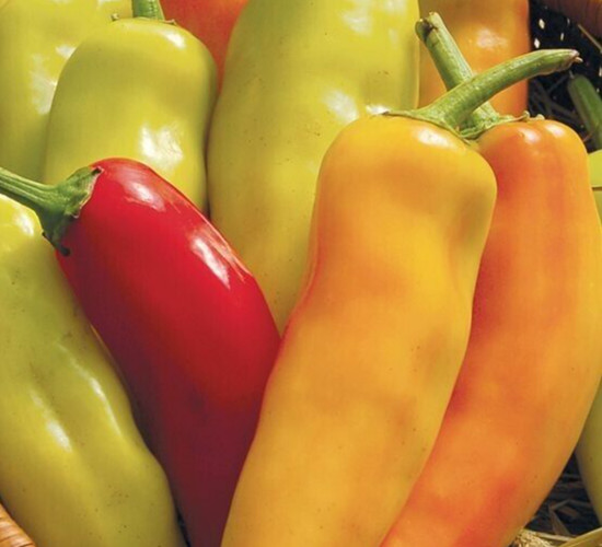 50 ct Hungarian Yellow Wax Pepper – Non-GMO / Heirloom