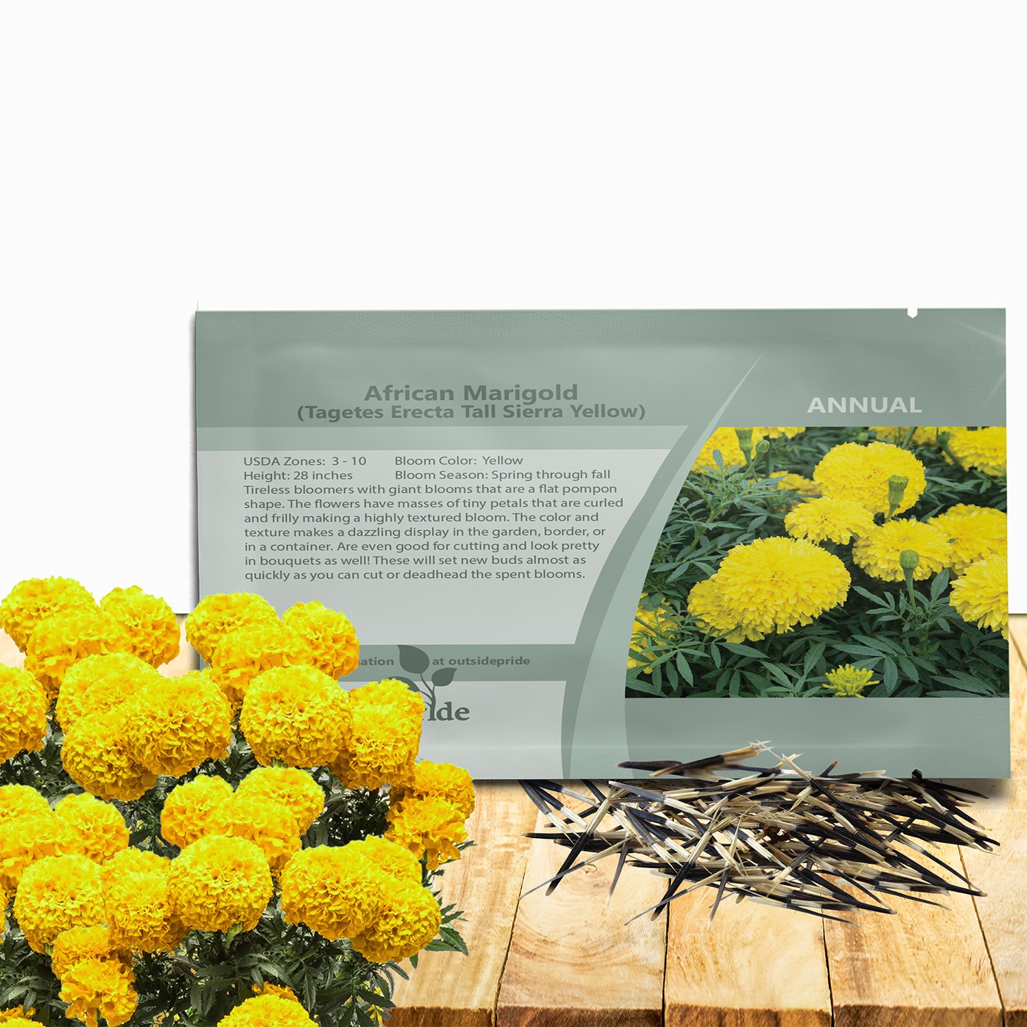 1000 Seeds Marigold Seed – Tagetes Erecta African Marigold Yellow Flower Seeds