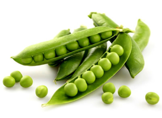 Green Pea Seeds, Early Frosty, Non-Gmo Seeds, Heirloom Peas, Fall or Spring 75ct