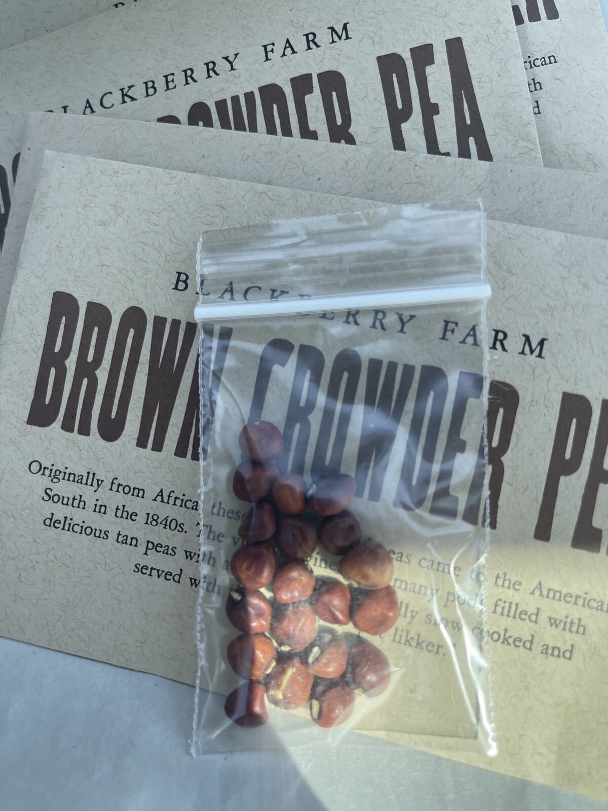 4 Pk Crowder Pea Seed & 4 Pk Pencil Corn Cob from Blackberry Farms