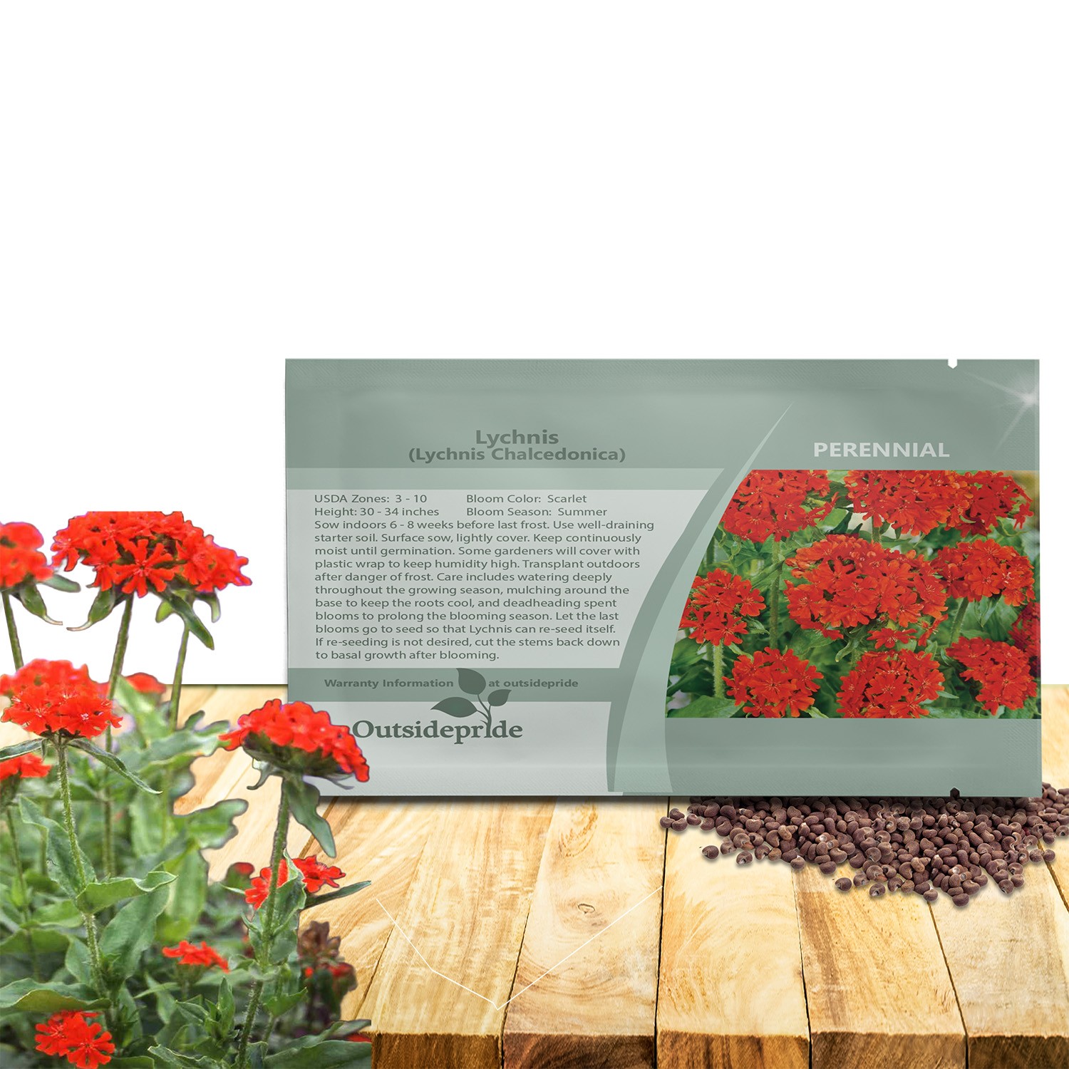 10000 Seeds Lychnis Seeds – Maltese Cross Lychnis Chalcedonica Flower Seed