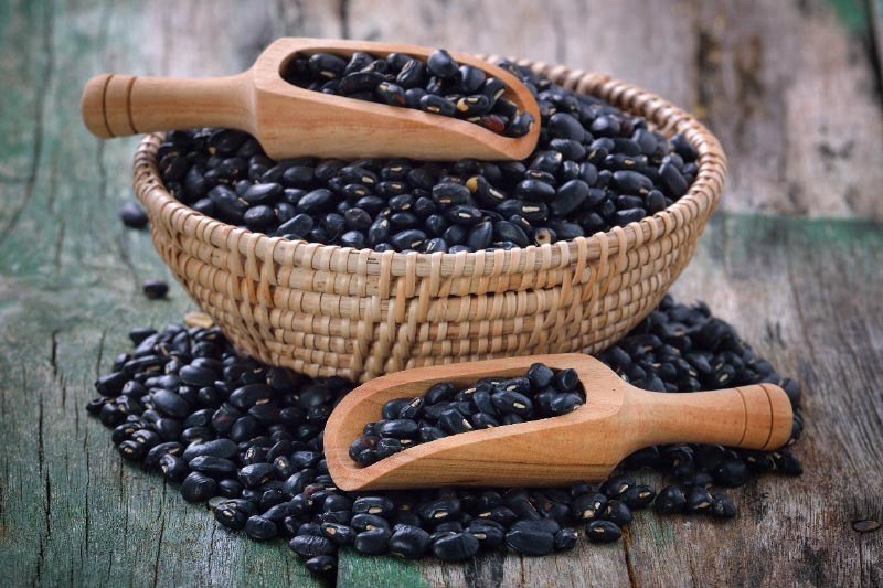 Black Bean Seeds | For Planting Mexican Frijoles Beans Black Turtle Seed 2026