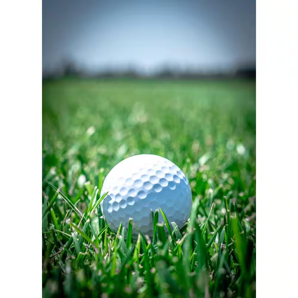 7 Lbs. Tall Fescue Grass Seed