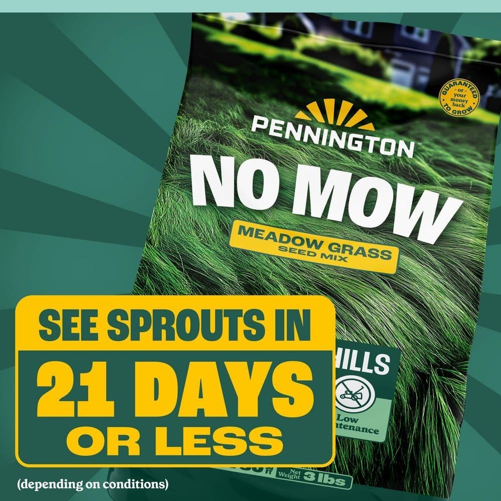 3 lbs. 750 sq. ft. No Mow Grass Seed Mix