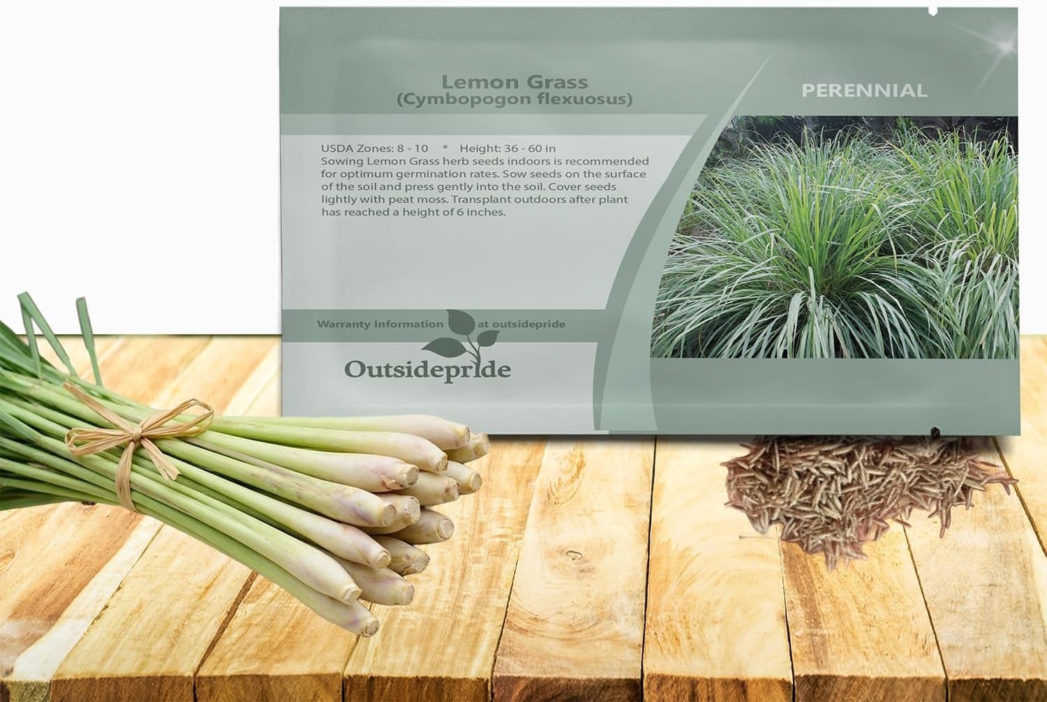 1000 Lemongrass Seeds – Multi-Purpose Herb for Culinary Use and Gardens