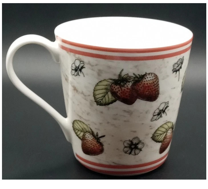 Queens Fine Bone China Vintage Country Garden Strawberry Teacup