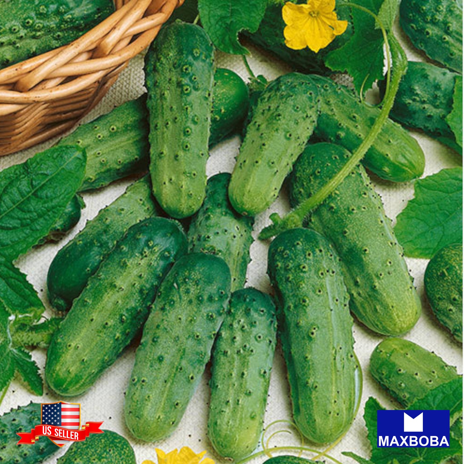 60+ Cucumber Seeds Parisian Pickle Non-GMO Heirloom Vegetable BOGO 50% OFF