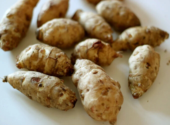 Sunchoke – Jerusalem Artichoke small White SEED Tubers (Organic)