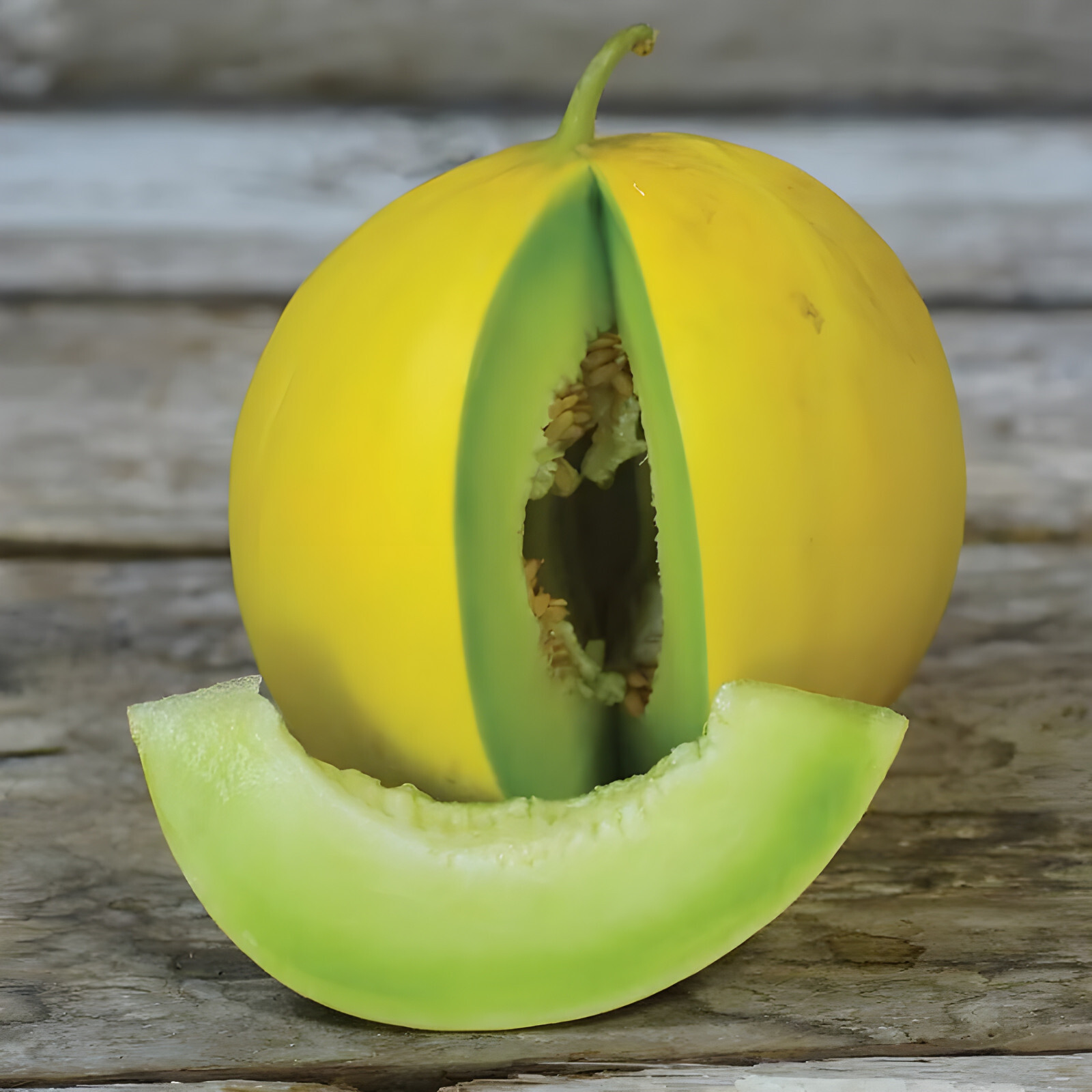 40 Heirloom Golden Honeymoon Melon Seeds – Super Sweet – Yellow Rind Green Flesh