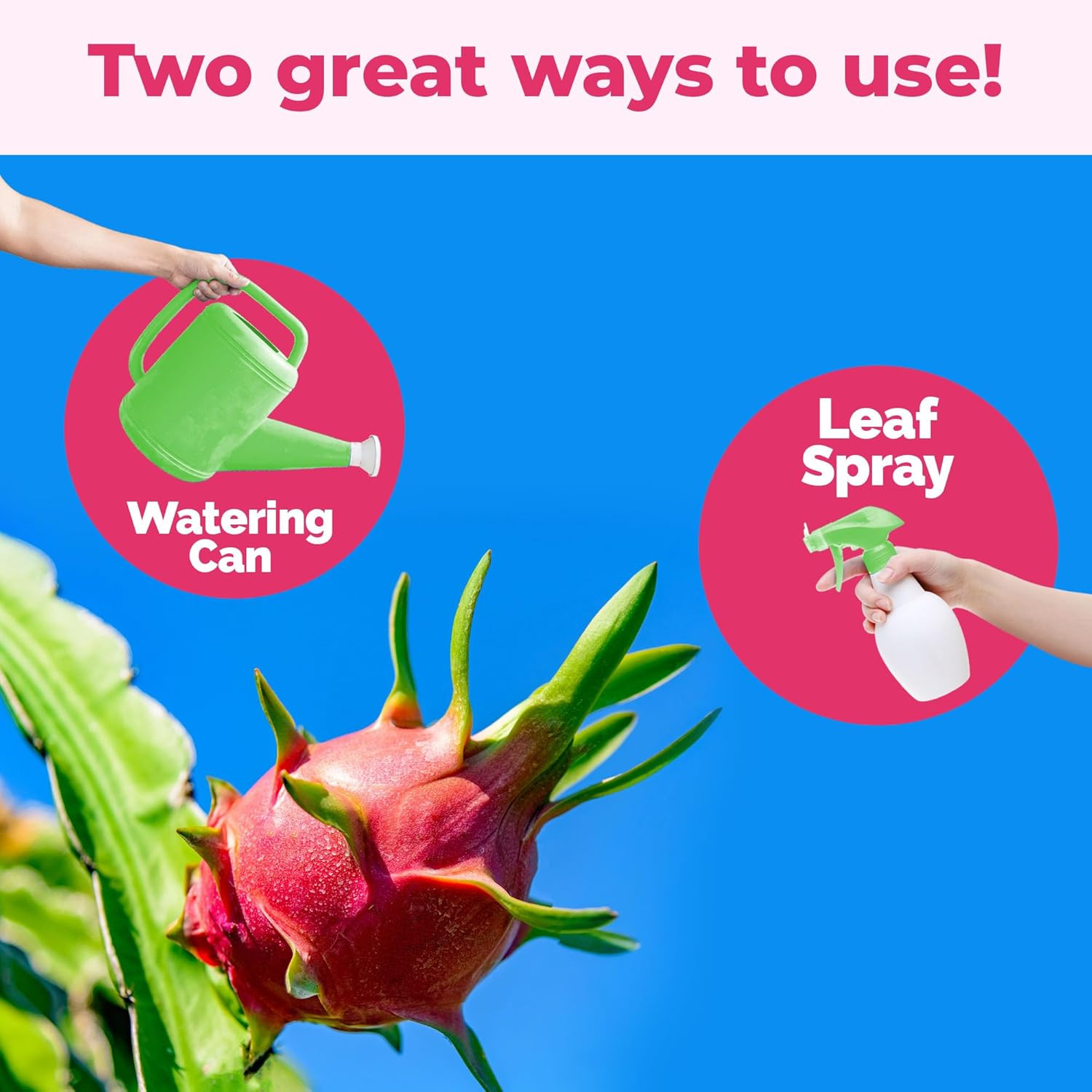 Dragon Fruit Fertilizer for Dragon Fruit, Great for Red, White, and Yellow Drago