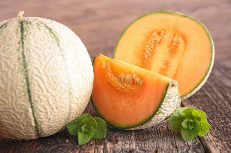 10 Sugar Cube Melon Seeds. Organic. USA Seeds. Ships free