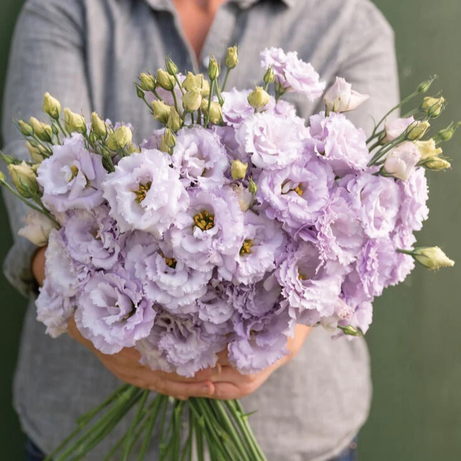 1000+ Double Lisianthus Seeds for Planting – Annual Lisianthus Flower Non-GMO…