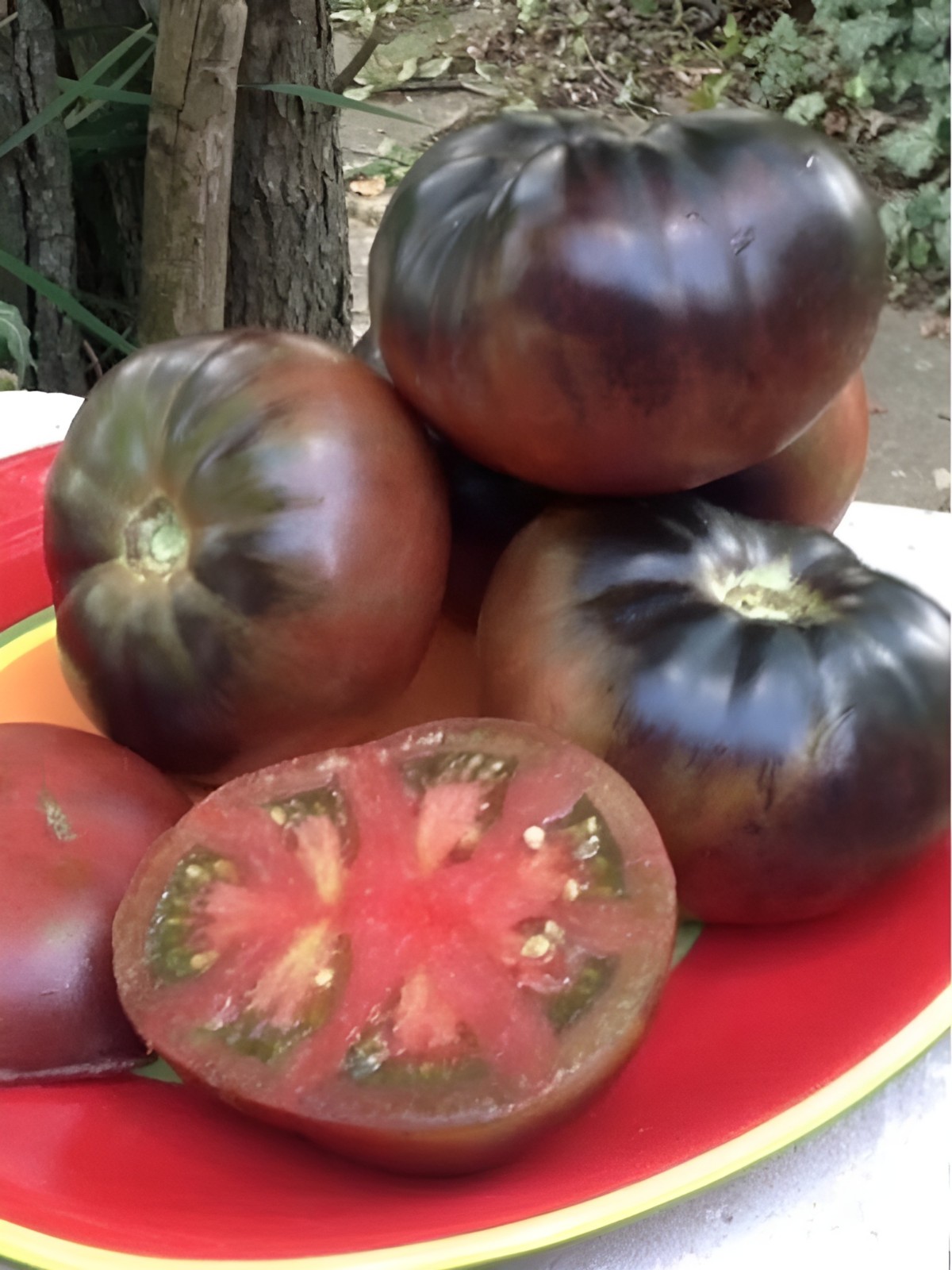 100 Heirloom Black From Tula Tomato Seeds 16oz Sweet Rich Smokey Indeterminate