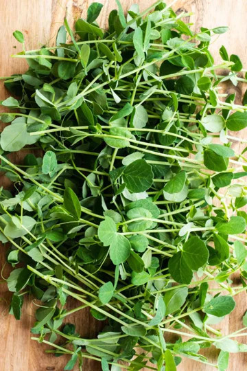 Green Arrow English Shelling Pea Seeds |Heirloom Sweet Snap Peas Fresh Seed 2024